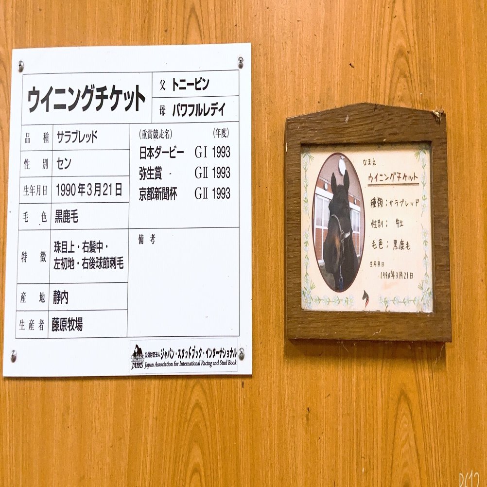 ウマ娘に会いに行った話〜ウイニングチケット〜｜ぶらん