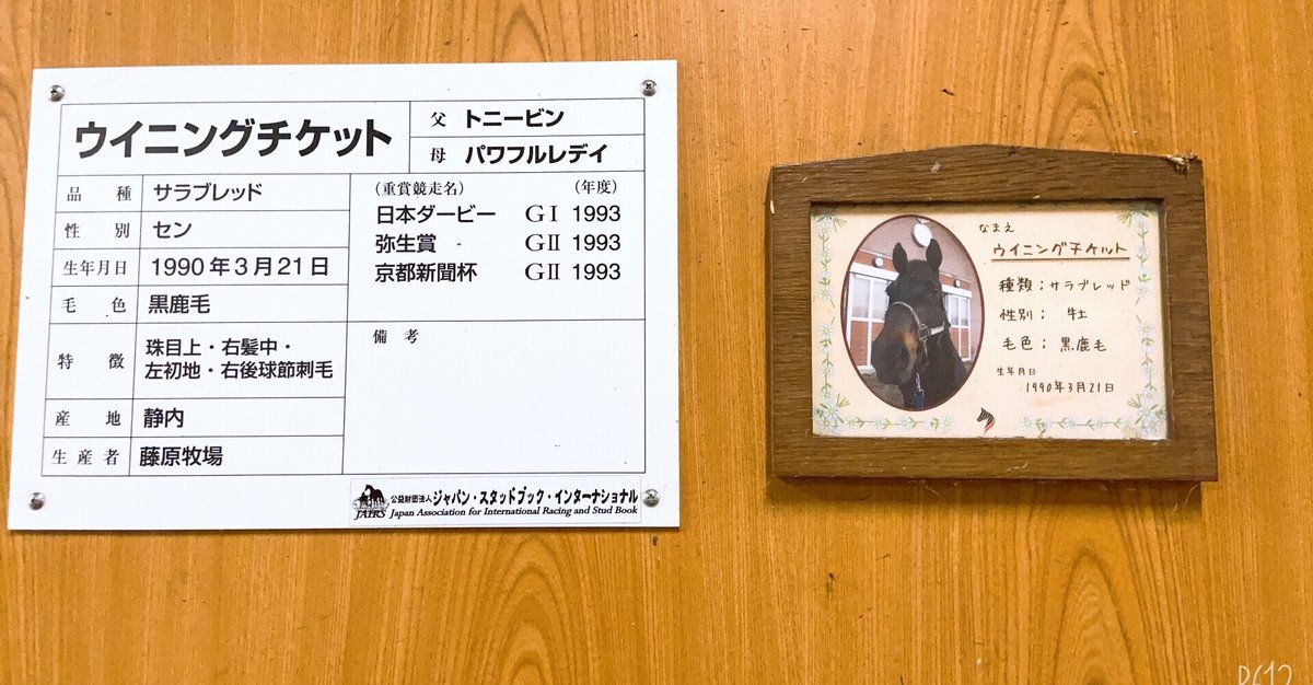 ウマ娘攻略日記㉒ 夢はダービー勝利へのチケット！ウイニング