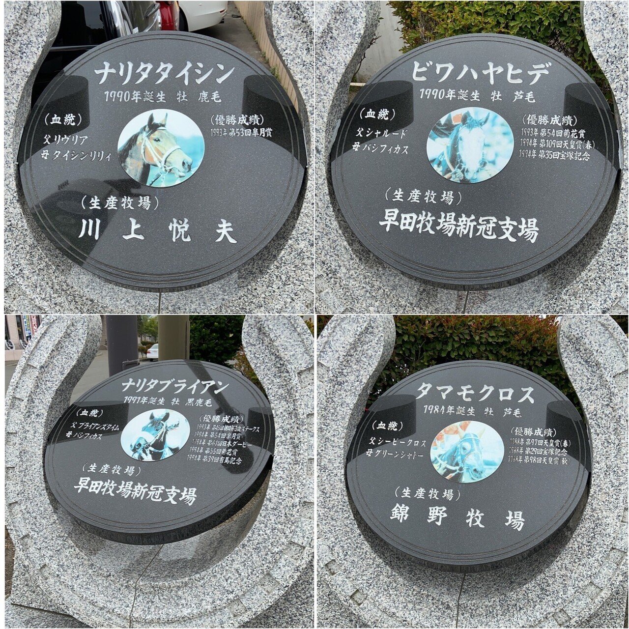 サイレンススズカ号 第39回宝塚記念Sサイズ ｜競馬