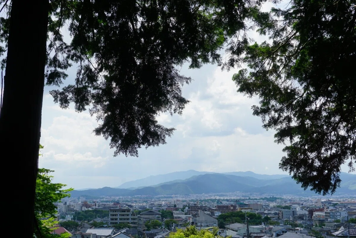 画像6