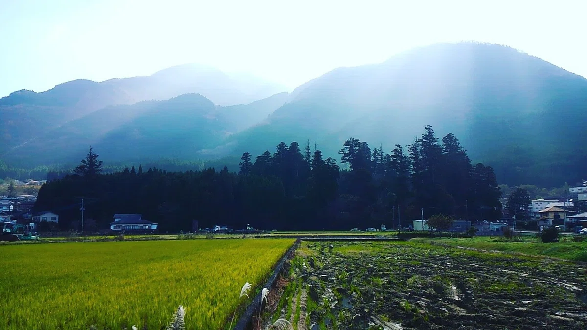 画像7