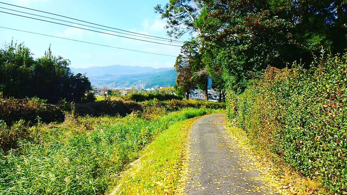 画像11