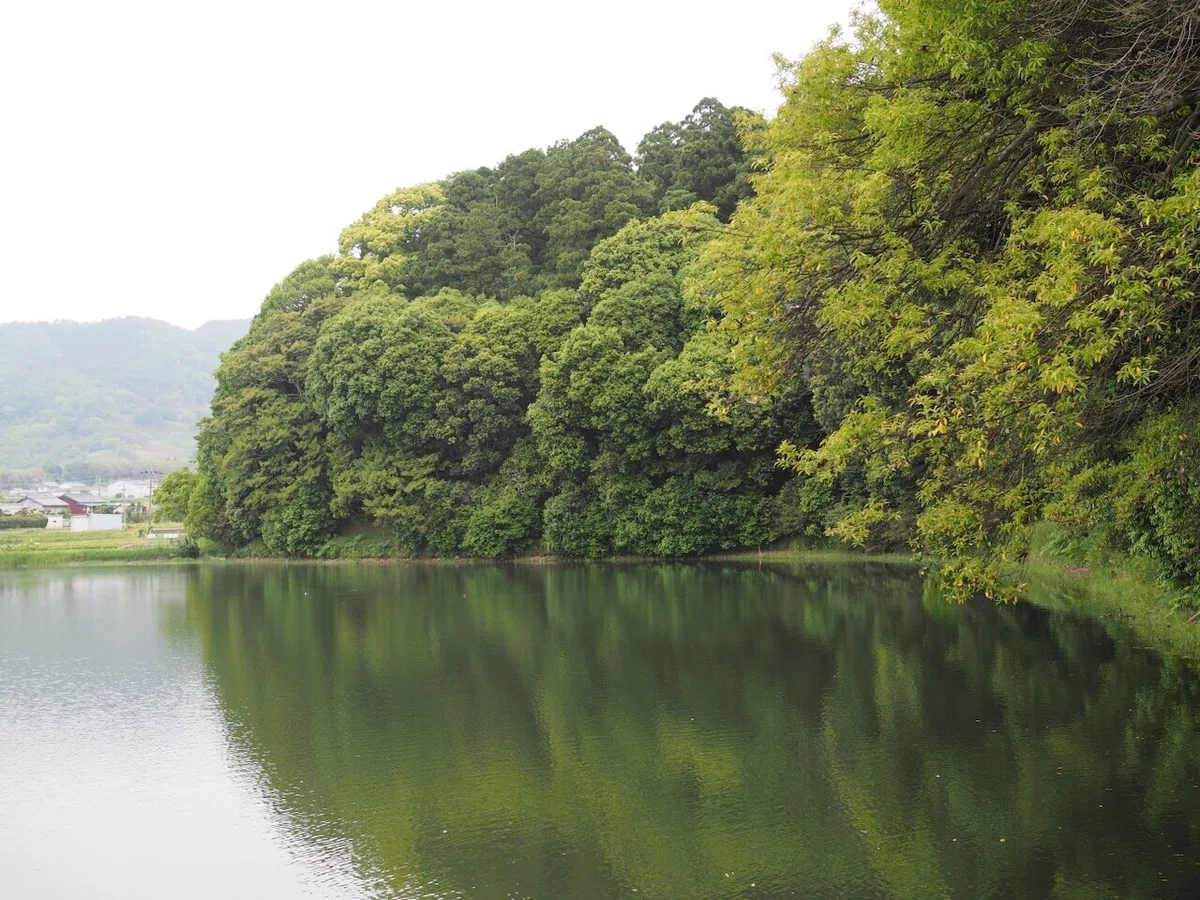 画像5
