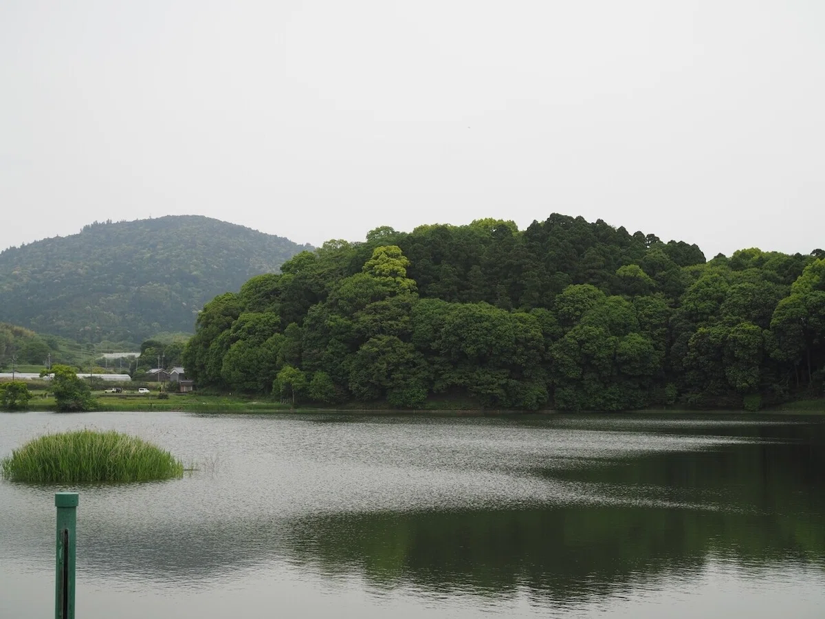 画像6