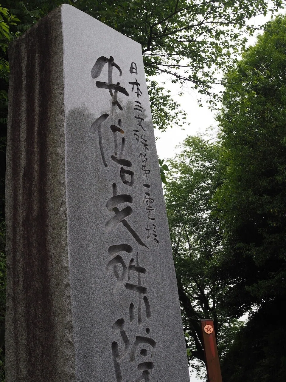 画像7