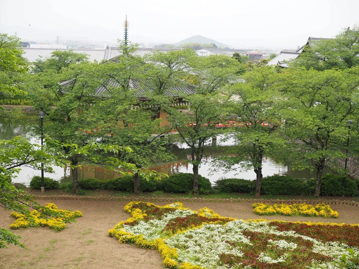 画像9
