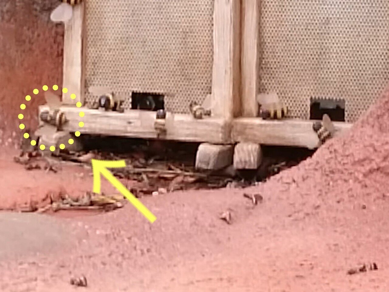 Tdlの三大マウンテン まつゆう Note Tdlの三大マウンテン まつゆう Note