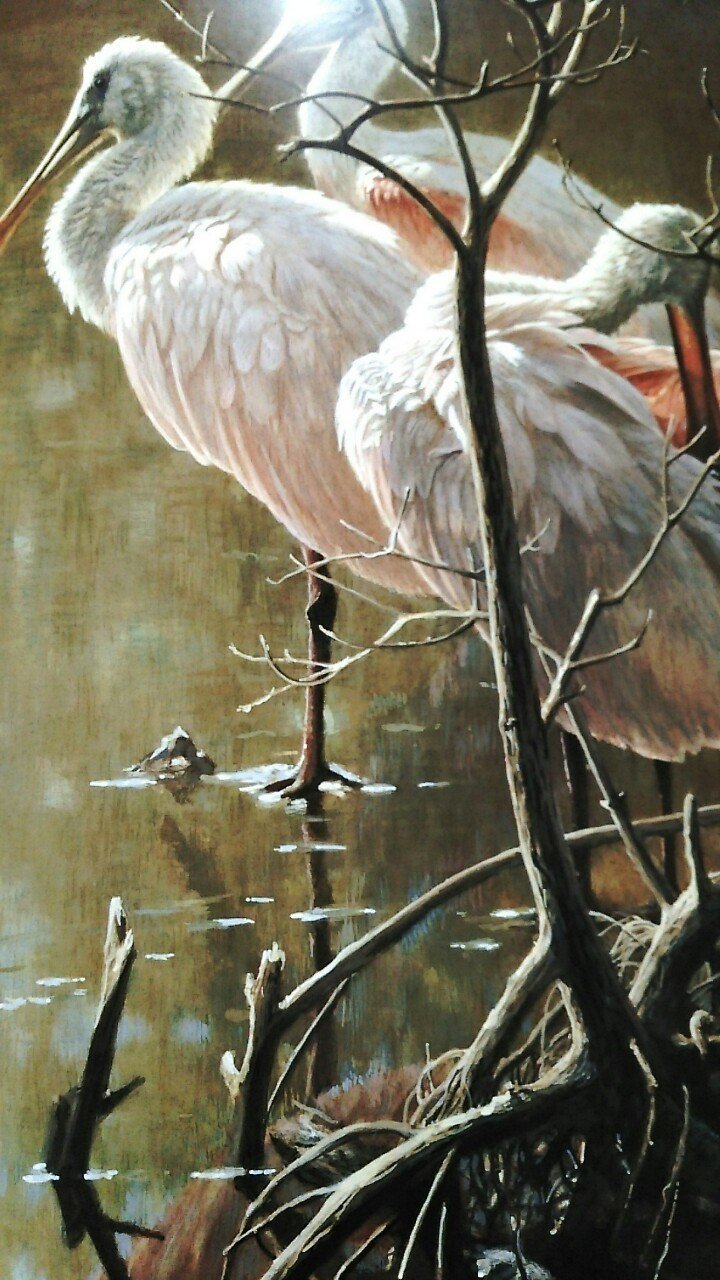 動物画家ロバート ベイツマンの紹介 雨水南都 Note