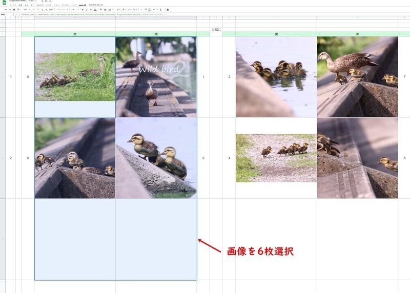 画像7