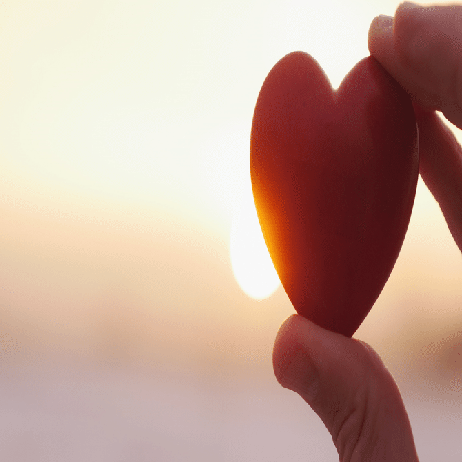 意外と知らない さつまいものこと 干し芋 鶴田商店 Note