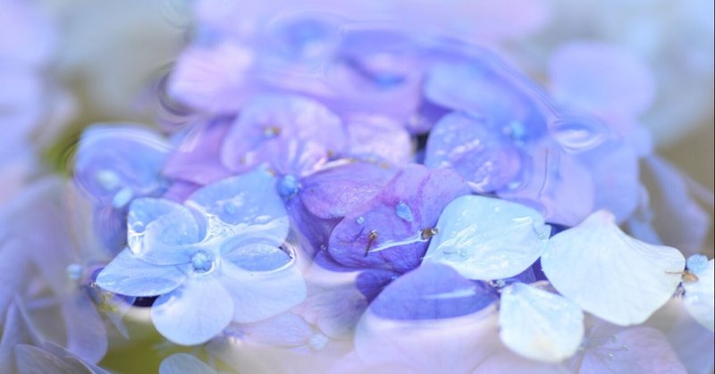 視野を広げる方法 の新着タグ記事一覧 Note つくる つながる とどける