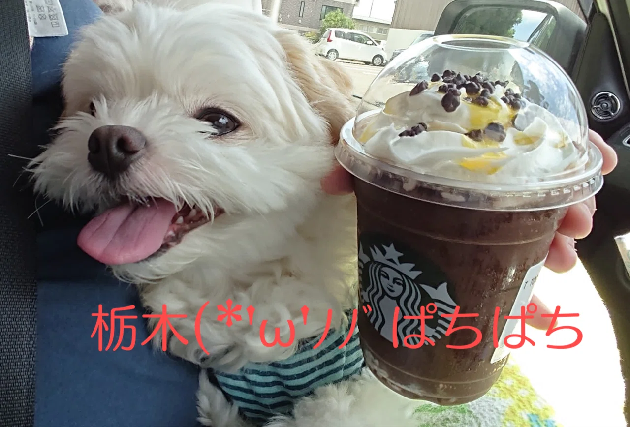 画像11