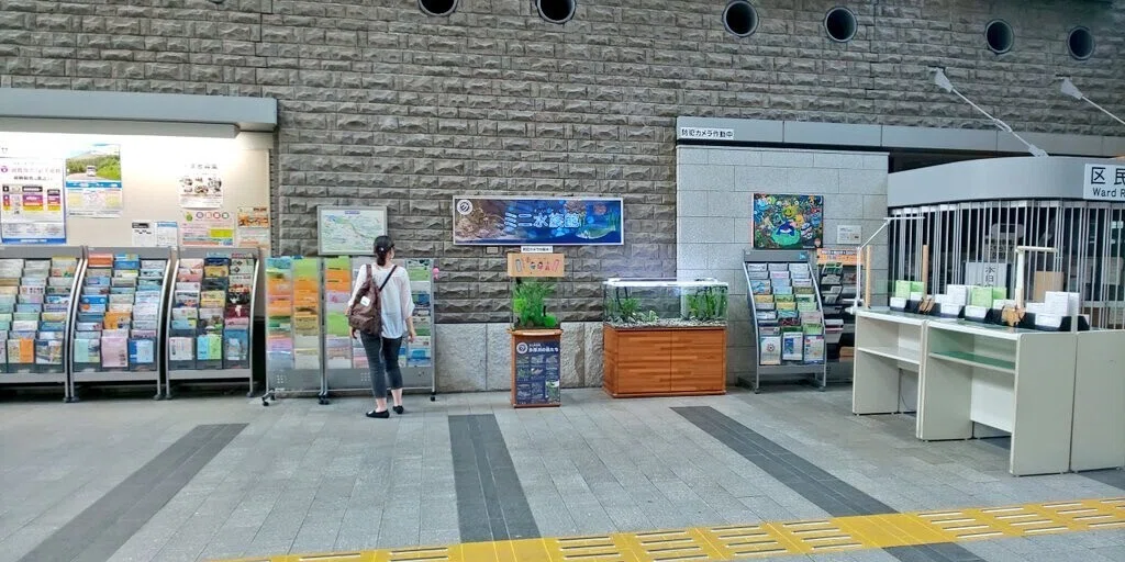 画像5