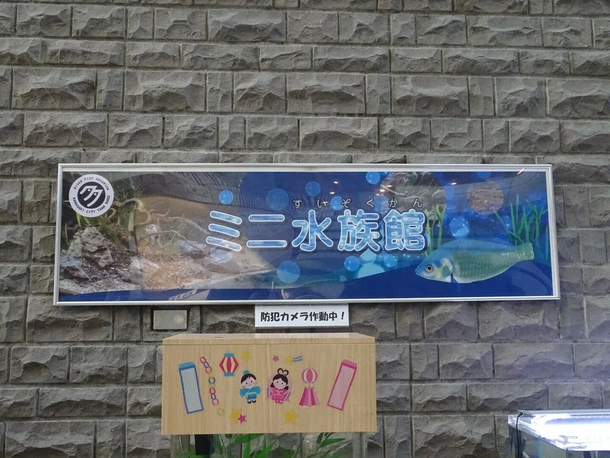 画像7