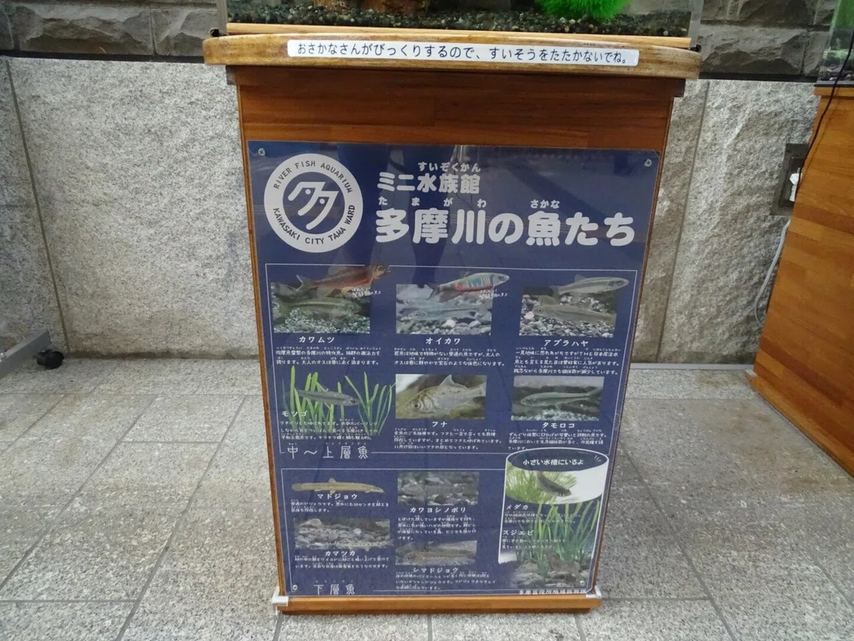 画像9