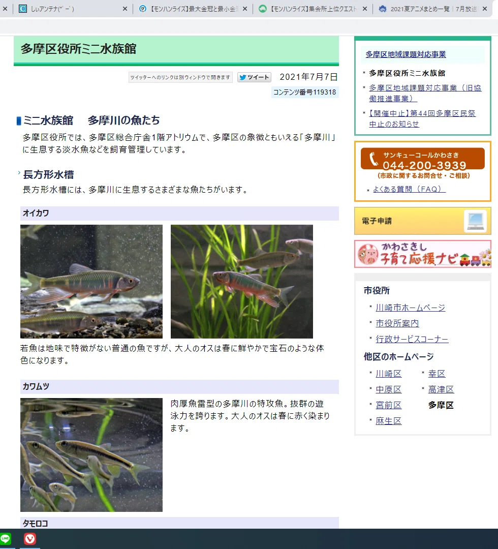 多摩区役所ミニ