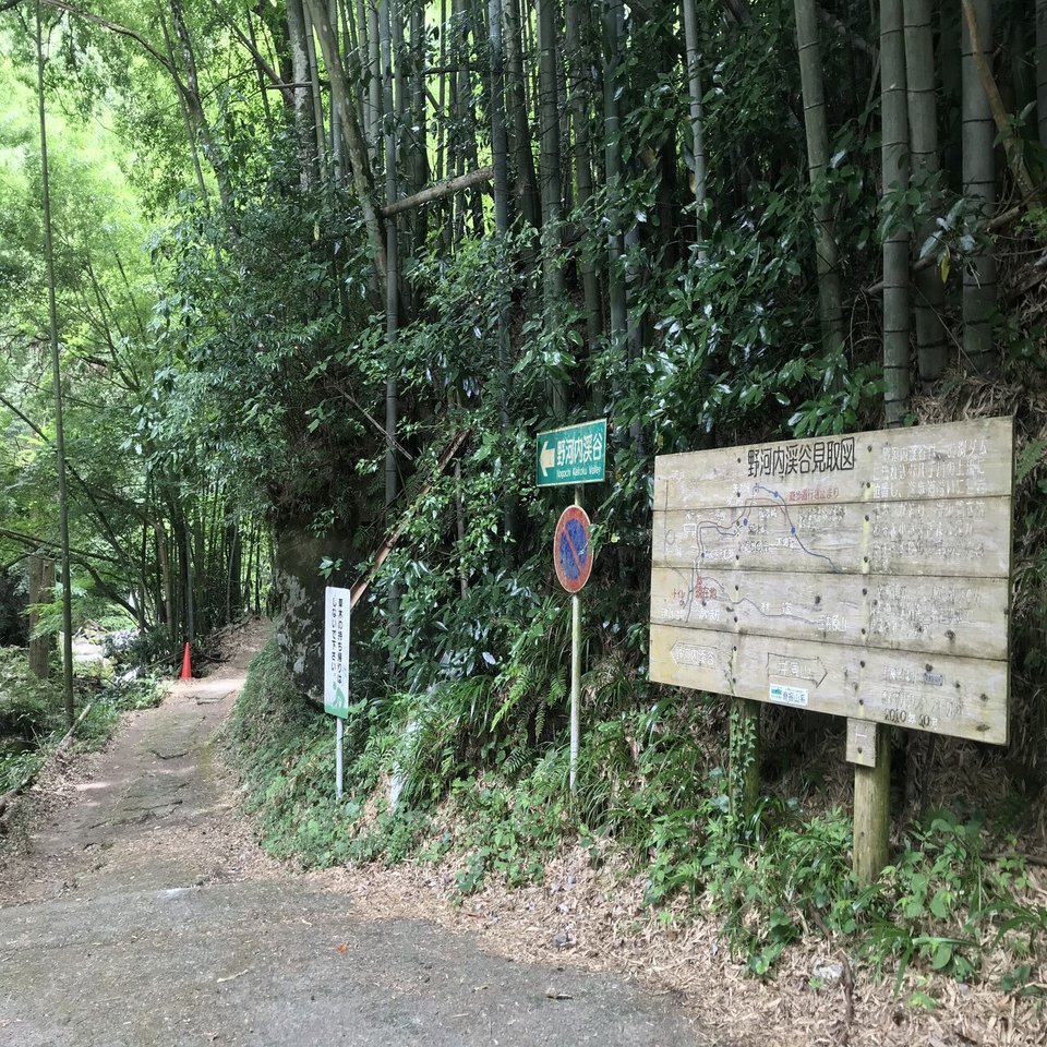 野河内渓谷で沢登り オオキツネノカミソリ ラリーグラス Note