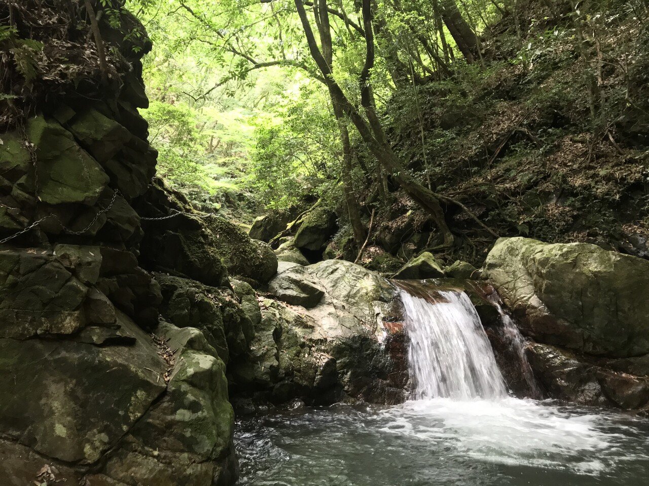 野河内渓谷で沢登り オオキツネノカミソリ ラリーグラス Note 野河内渓谷で沢登り オオキツネノカミソリ ラリーグラス Note