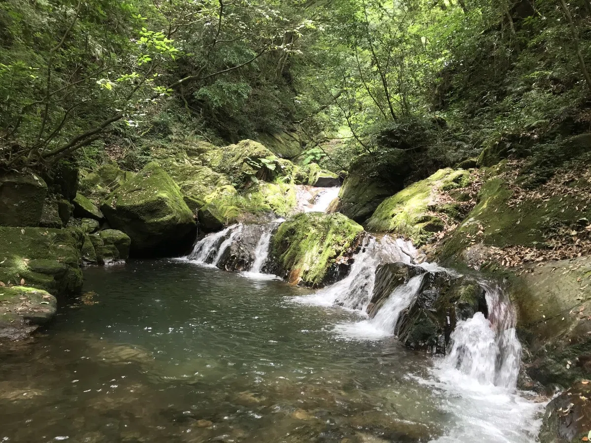 画像5