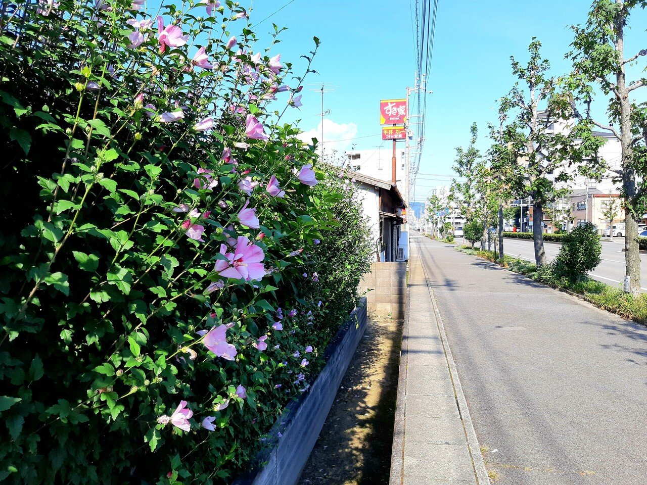 懐かしい夏の空色 山田幸子フリーアナウンサー Note