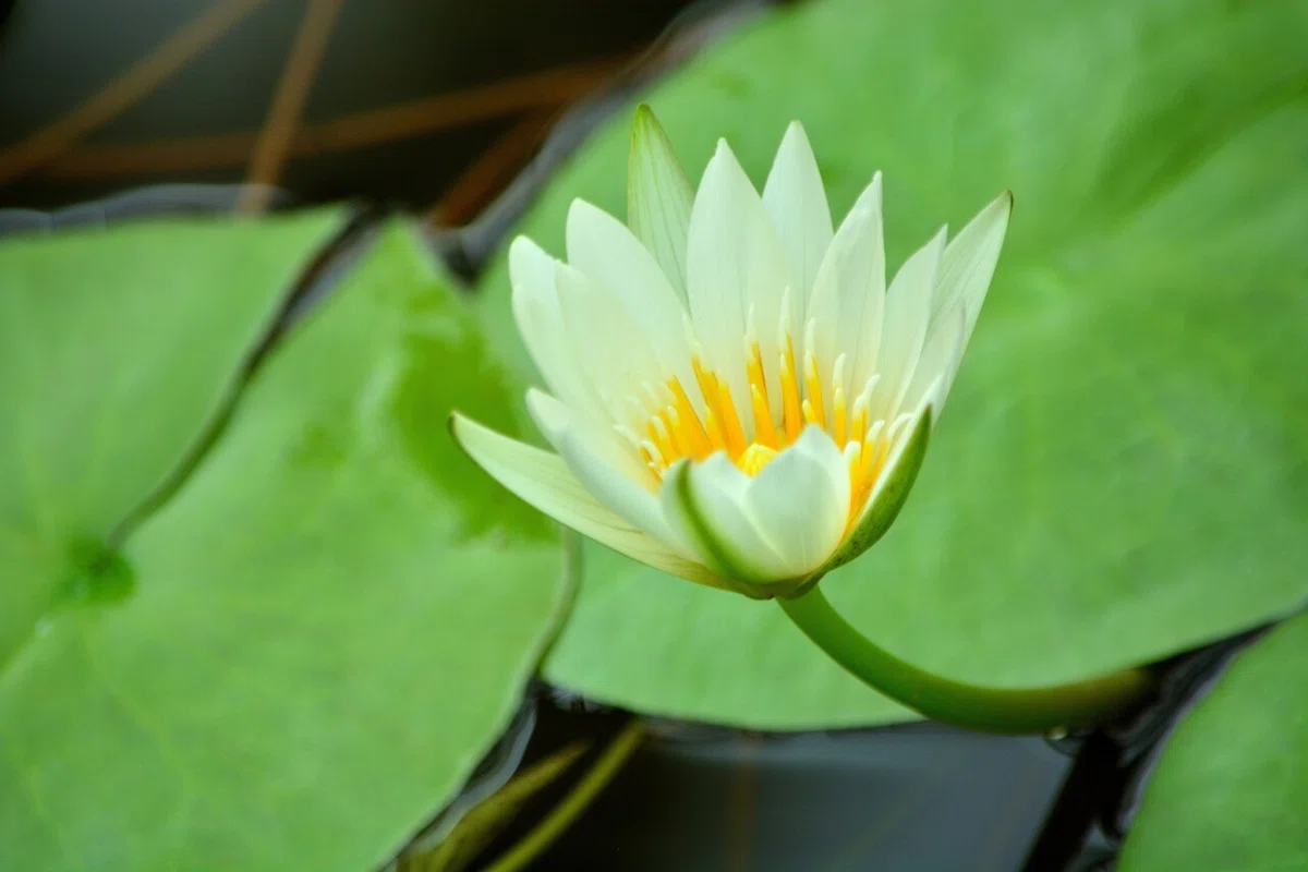 画像15