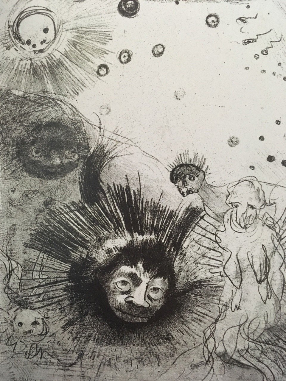 ルドン－－秘密の花園｜棚橋弘季 Hiroki Tanahashi