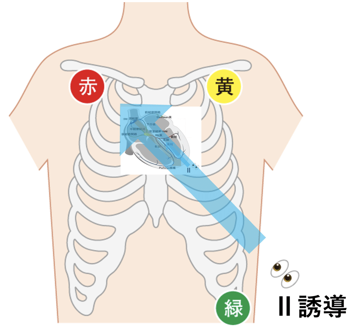 画像12