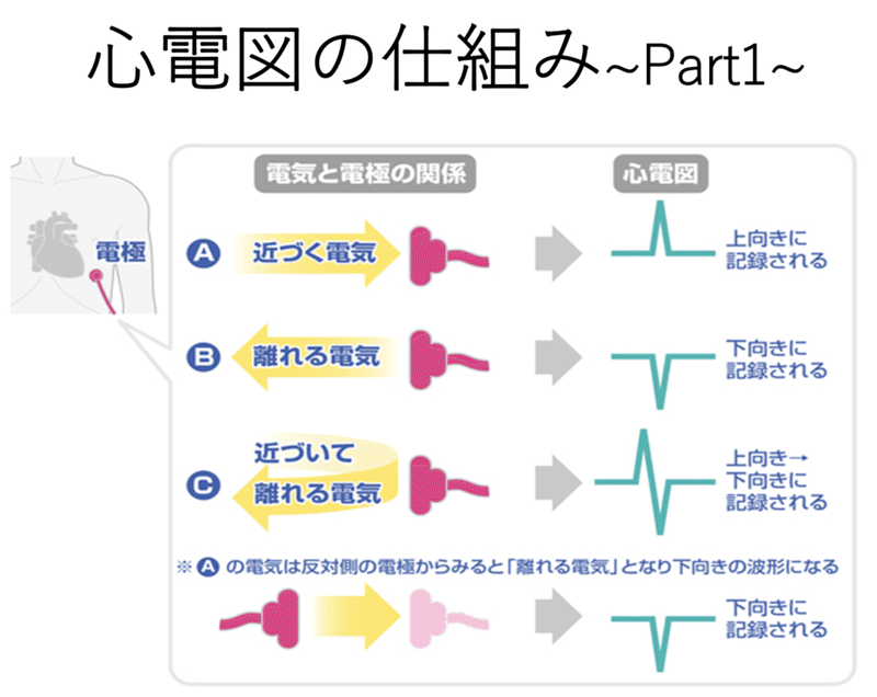 画像13