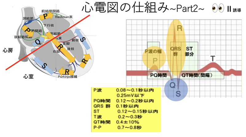 画像16