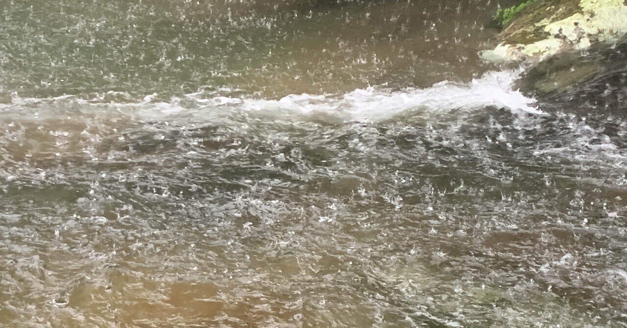 台風6号の影響|wakko|note