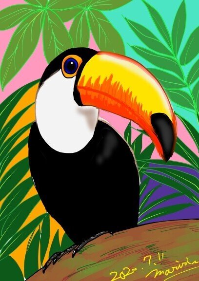 初めてのデジタルカラーイラスト オオハシ もりりん Note