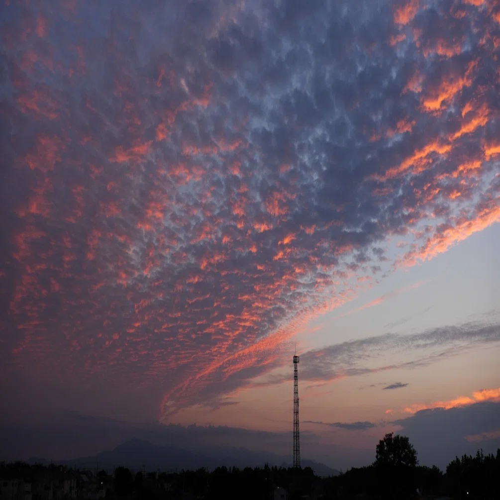 夕日とうろこ雲と夕焼けの翼 Arakure Note