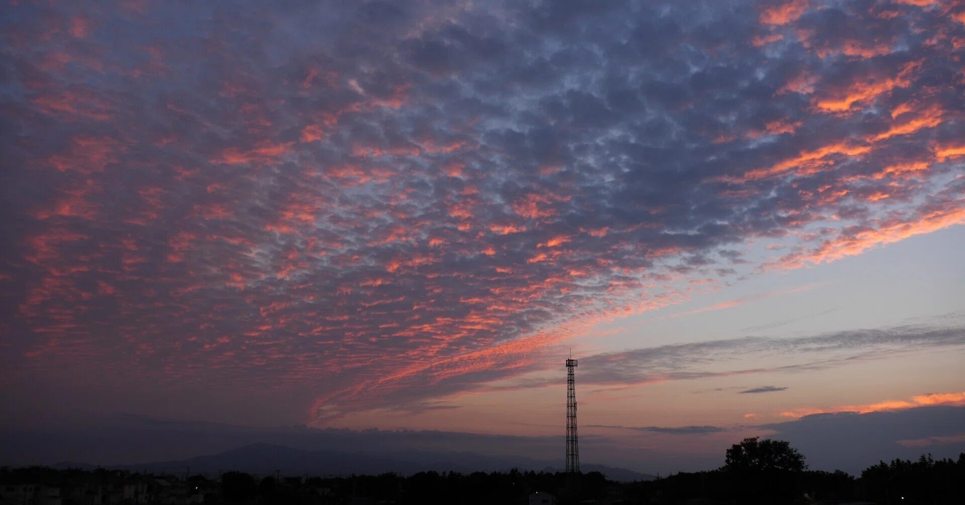 夕日とうろこ雲と夕焼けの翼 Arakure Note 夕日とうろこ雲と夕焼けの翼 Arakure Note