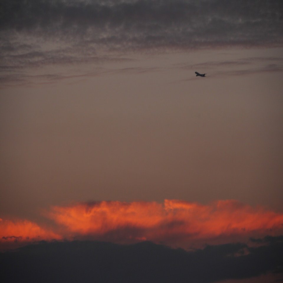 夕日とうろこ雲と夕焼けの翼 Arakure Note