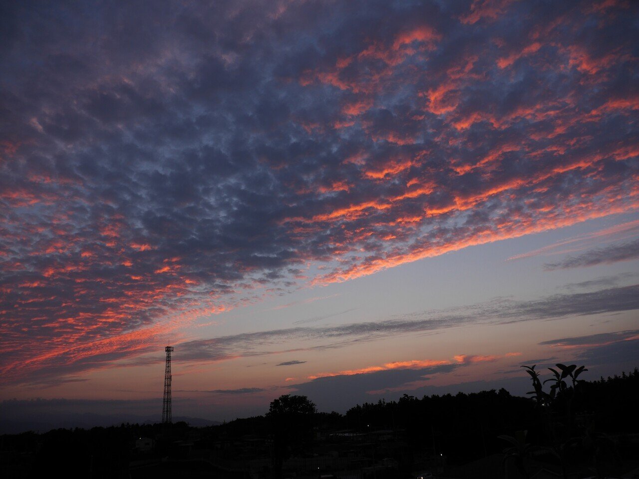 夕日とうろこ雲と夕焼けの翼 Arakure Note 夕日とうろこ雲と夕焼けの翼 Arakure Note