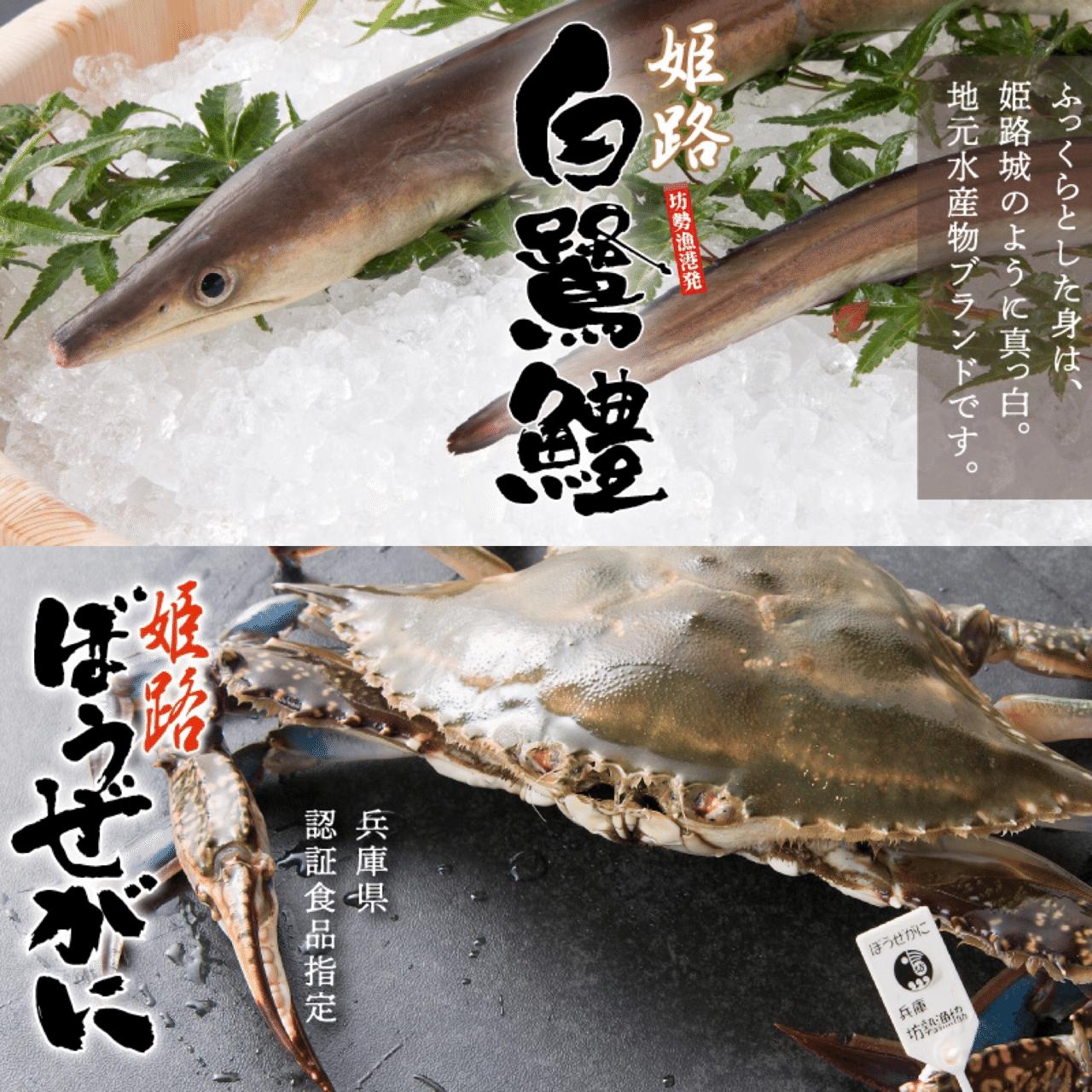 魚屋のお魚旅行記姫路編 姫路まえどれ市場 914 Note