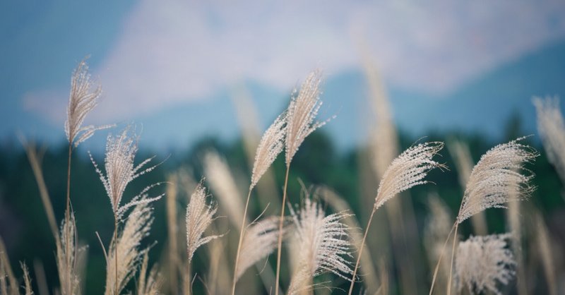 奥手 の新着タグ記事一覧 Note つくる つながる とどける