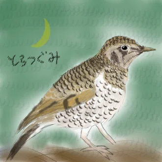 とらつぐみ(鵺)