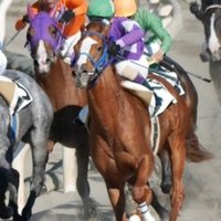 勝てない馬が人気になり過ぎてる 馬券生活者ゆうぞう Note