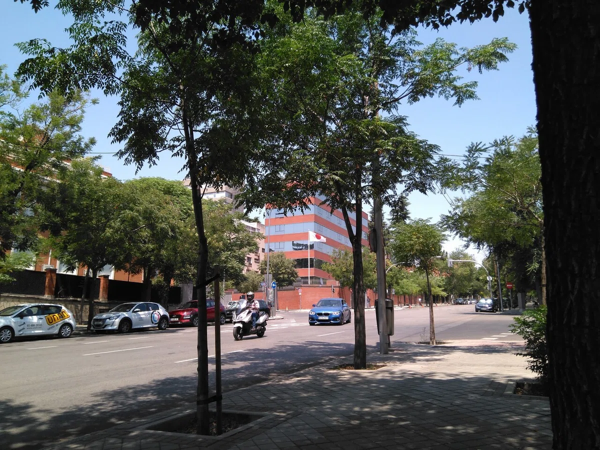 画像10