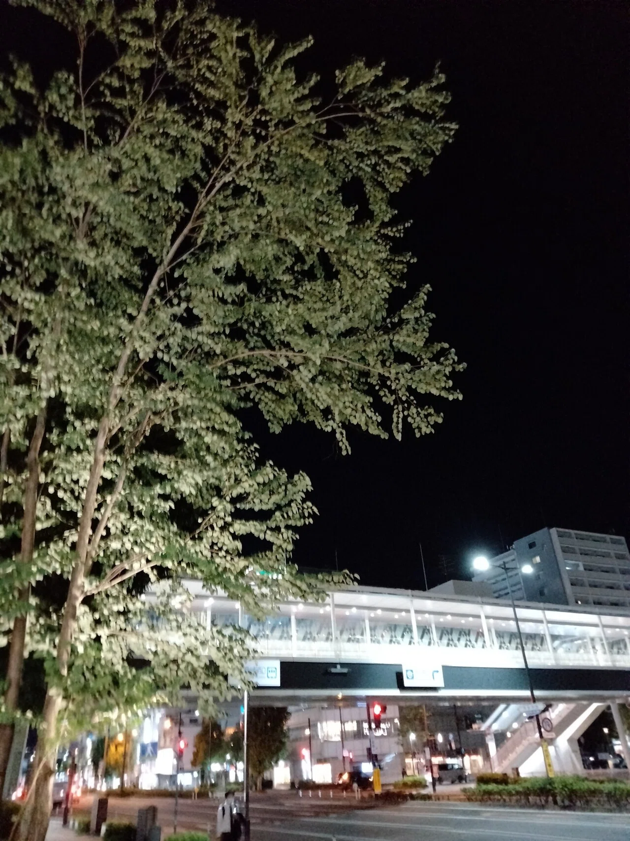 おはようございますnoteのみんな 朝が来る前は夜でした 町では楽しそうな人たちと 何人も何人もすれ違いました 何だか寂しいなあと思うと ブルートゥースから聴こえる 熱い優しいyoasobiが ま アポロ Note