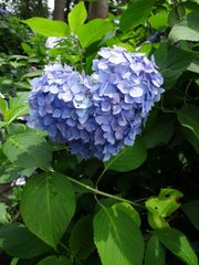 結婚式の歌 の新着タグ記事一覧 Note つくる つながる とどける