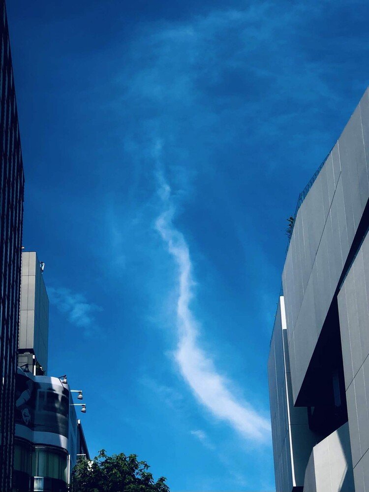 🐲 龍雲 Dragon Cloud 🐉 @ Shibuya, Tokyo.