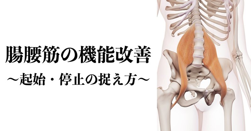 「腸腰筋」の機能改善をする際に必ず意識しておきたいポイント！