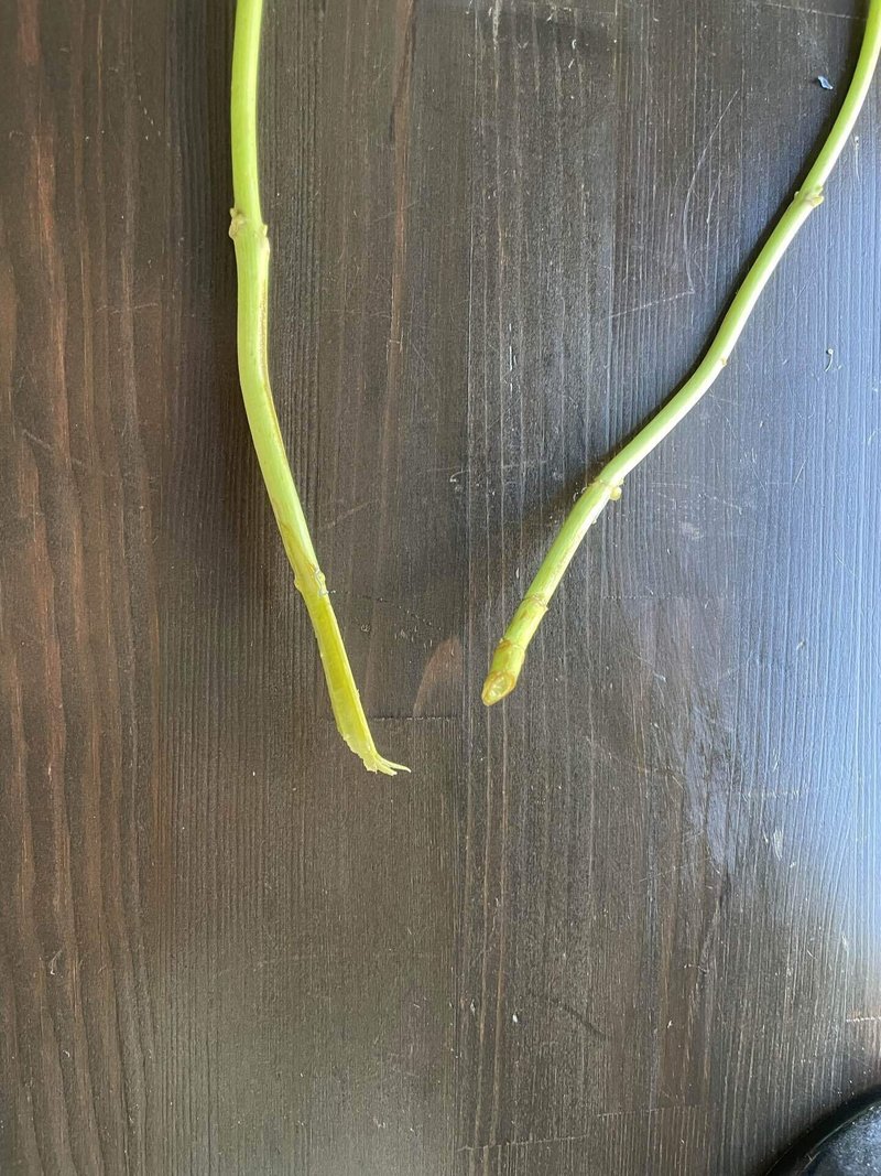 知ってて徳する あじさいを長く飾る方法 Greenpiece Note 知ってて徳する あじさいを長く飾る方法 Greenpiece Note