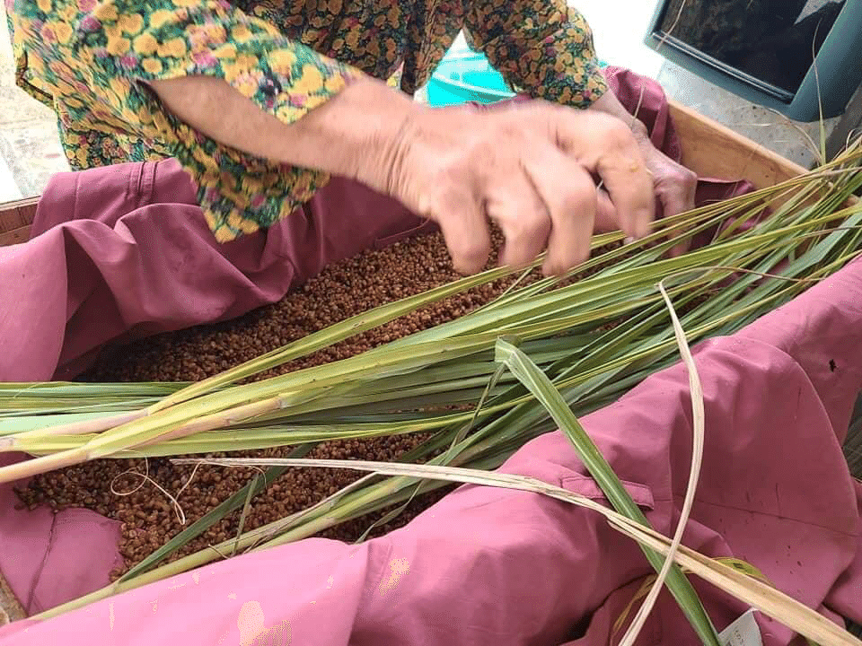 池間島おばあの天然麦麹｜内田華子