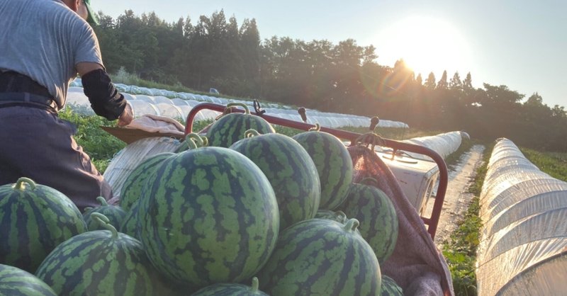 オリンピック名言シリーズ の新着タグ記事一覧 Note つくる つながる とどける