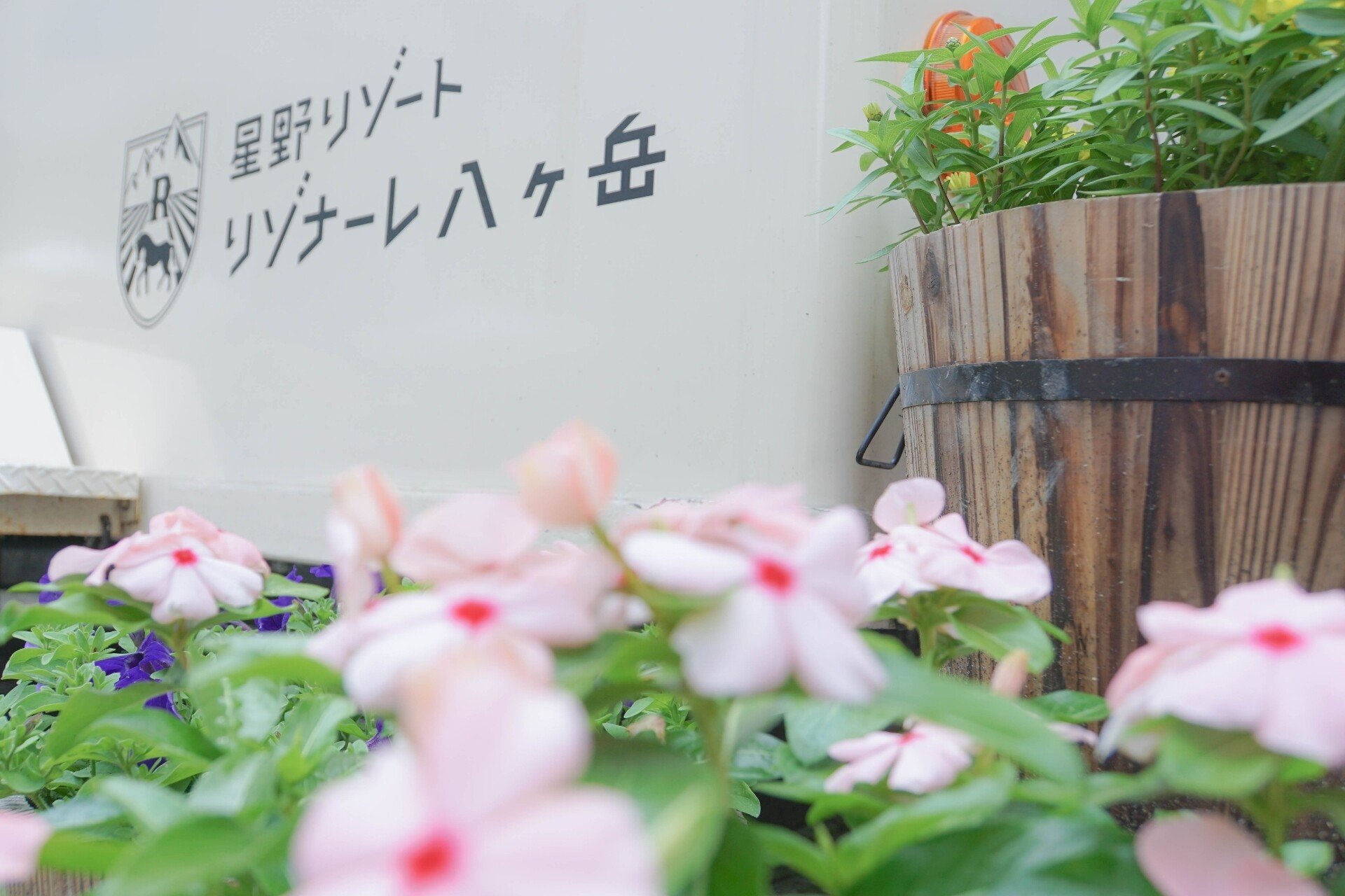 旅の記録 星野リゾート リゾナーレ八ヶ岳でのんびり夏休み 1日目 みーゆ Note