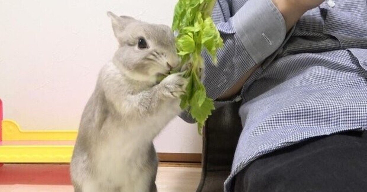 可愛いにもほどがある セロリ編 Sumomo Note