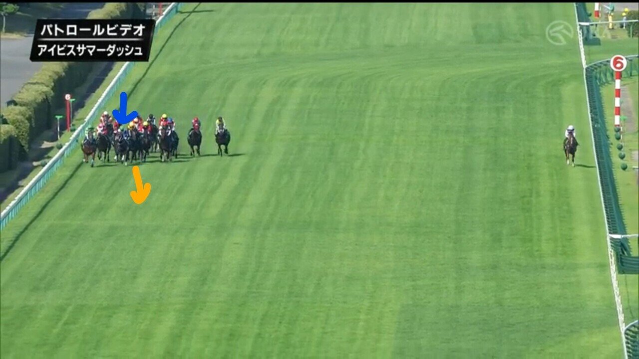 アイビスサマーダッシュを振り返る～奇跡的に条件が揃い嵌まった奇襲